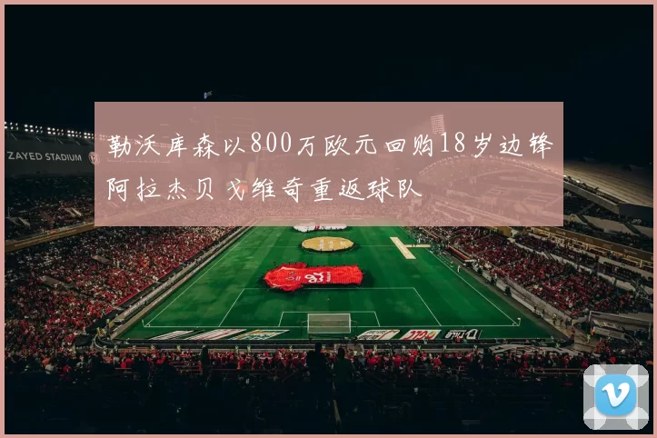 勒沃库森以800万欧元回购18岁边锋阿拉杰贝戈维奇重返球队